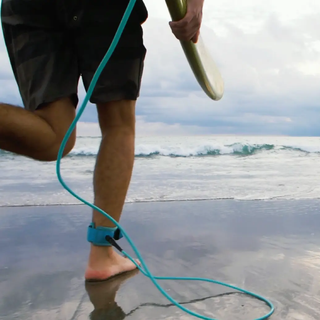 Functional Food Functional Food